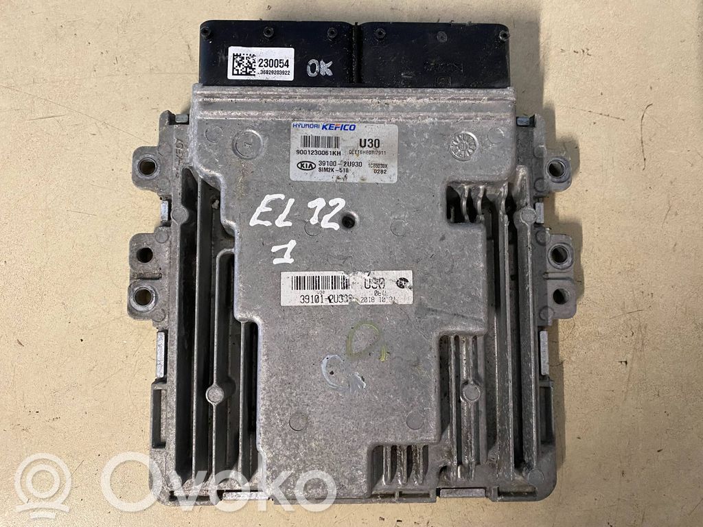 KIA Sportage Engine control unit/module 