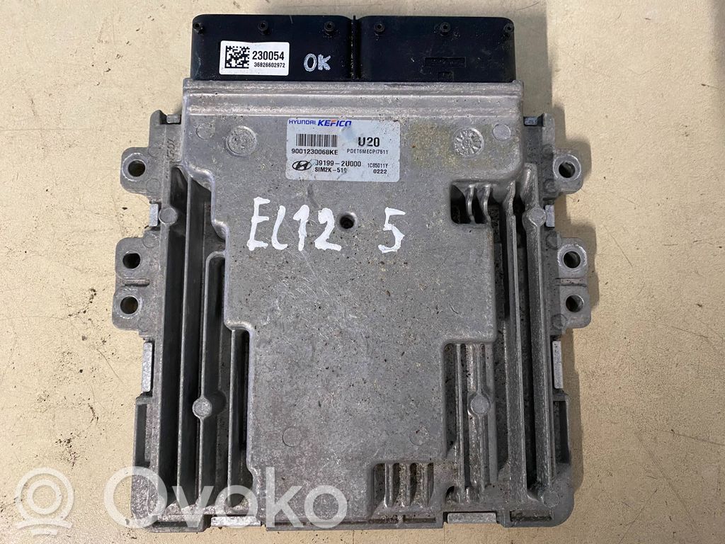 Hyundai Tucson TL Engine control unit/module 