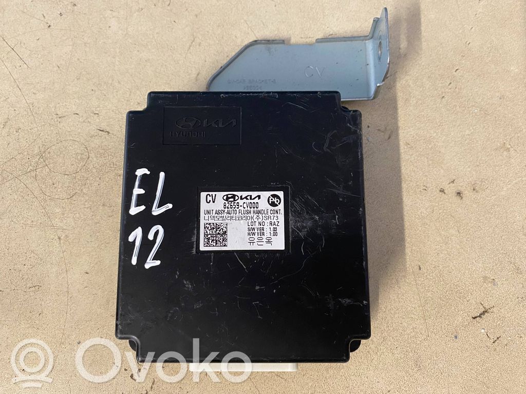 KIA EV6 Unidad de control/módulo de la puerta 