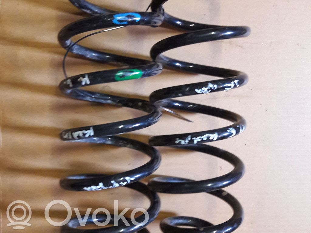 Rear coil spring