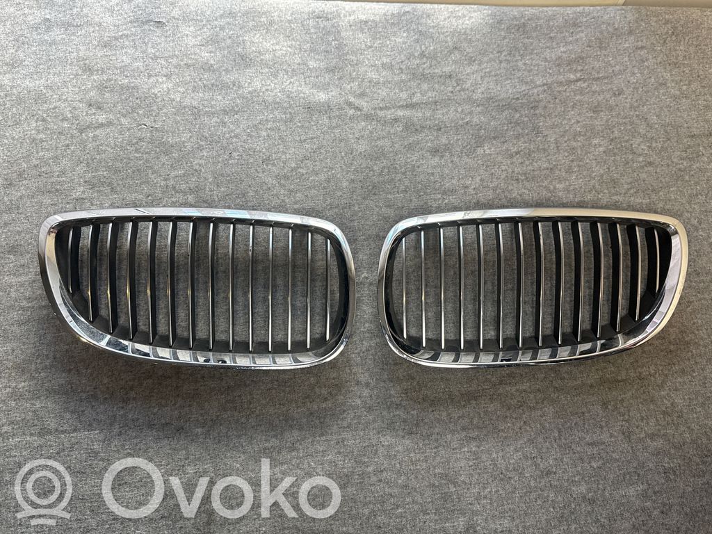 Front grill   22405910