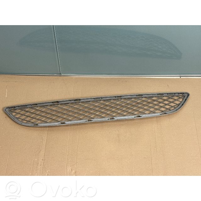 Front bumper lower grill   7176282,105034