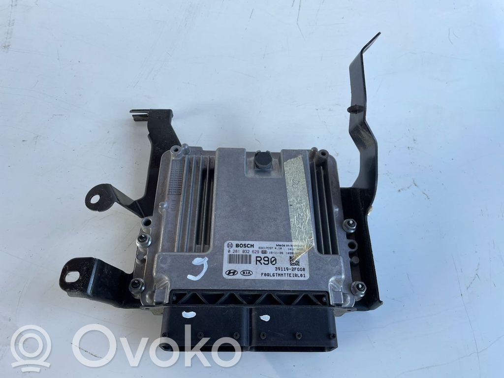 Engine control unit/module   391192FGG0,0281032629