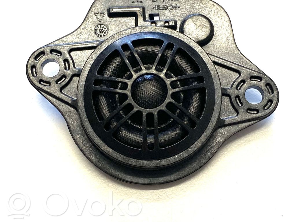 Panel speaker   109873700B