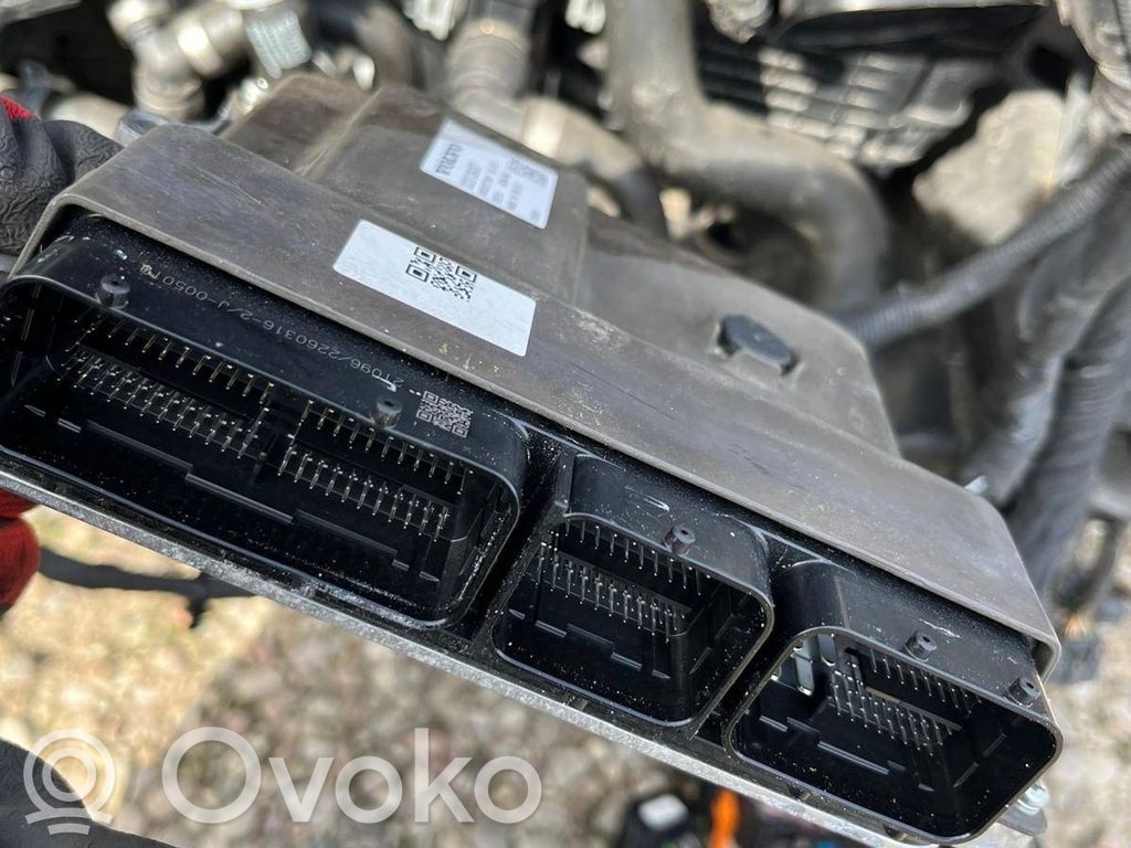 Engine control unit/module ECU   32313937