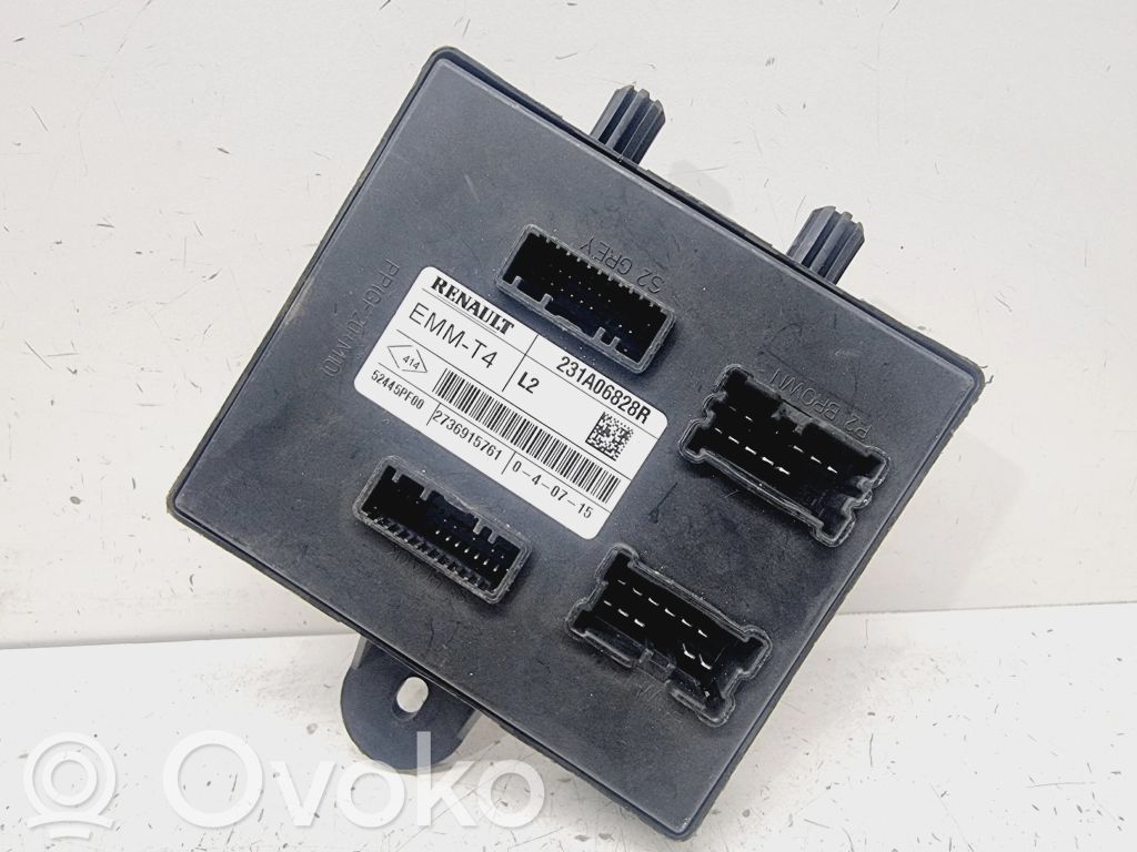 Other control units/modules   231A06828R
