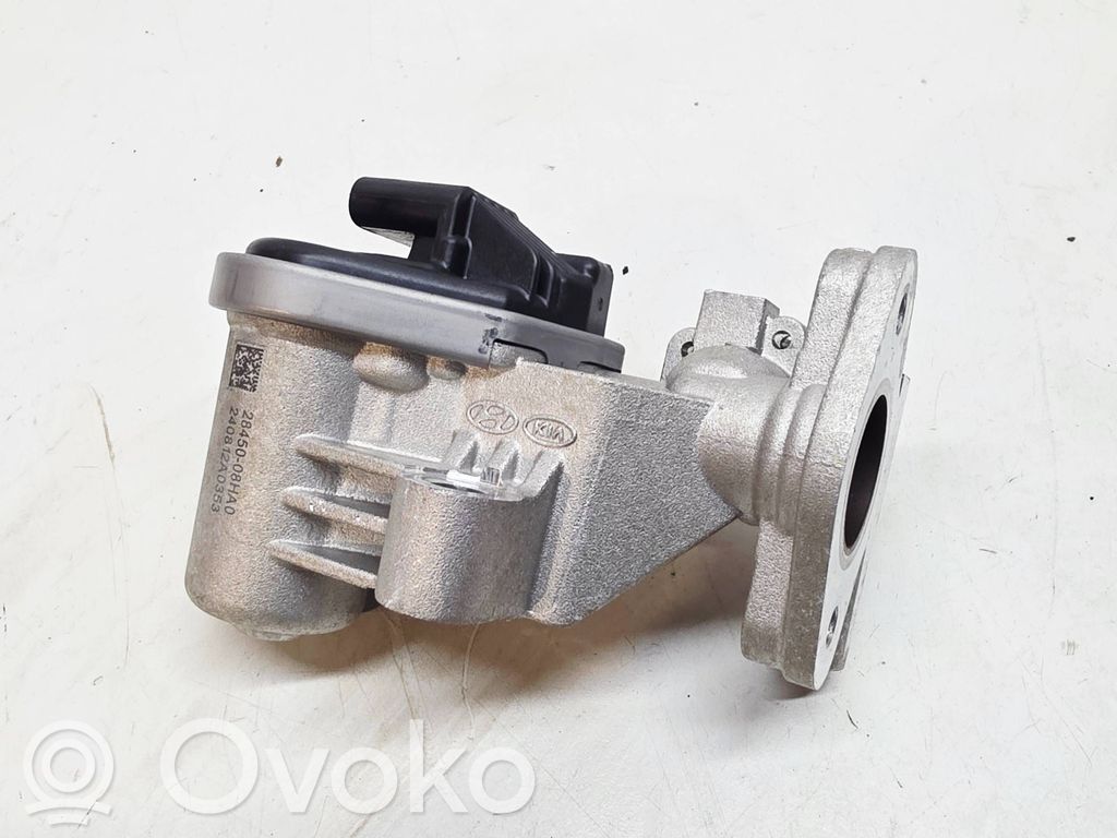 KIA Niro Válvula EGR 