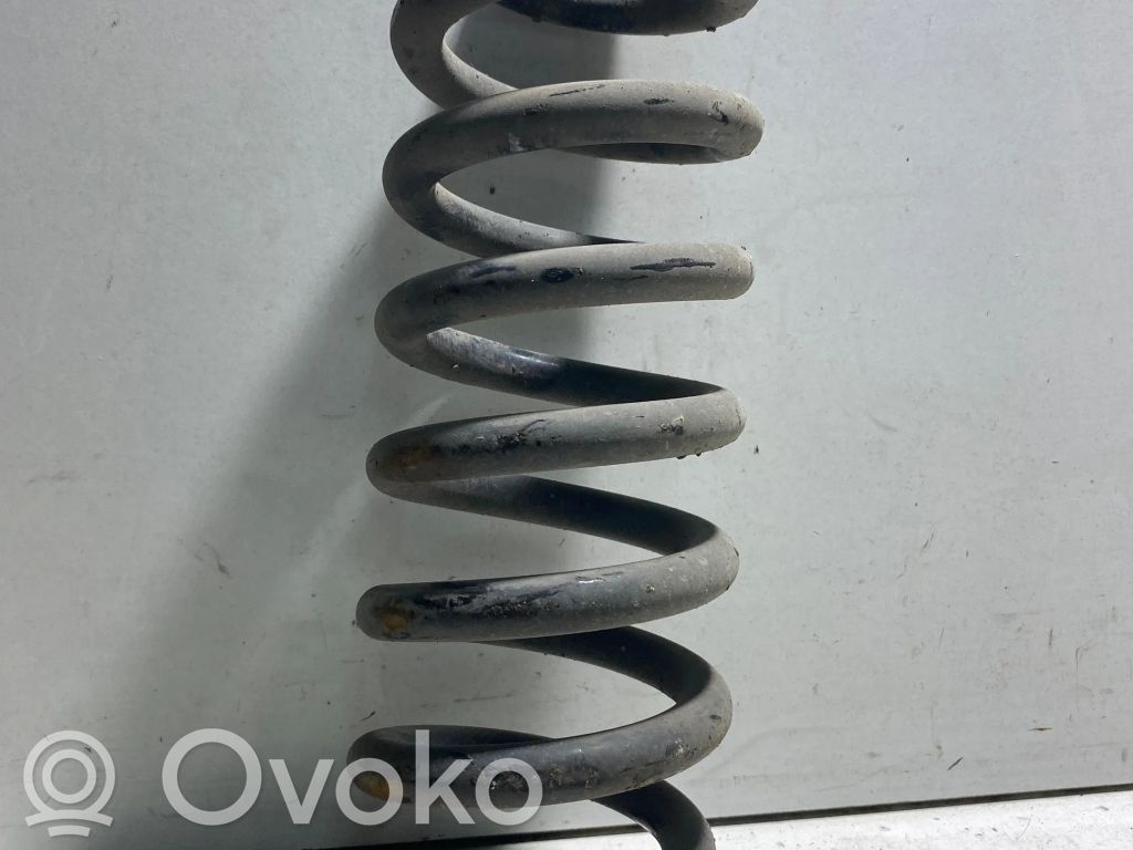 Muelle espiral trasero