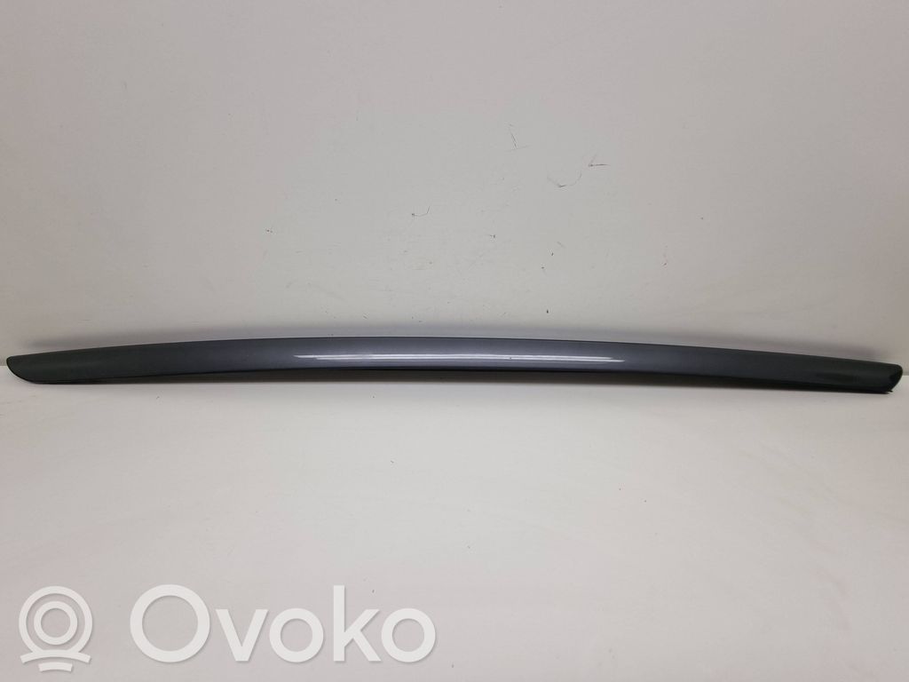 Citroen DS5 Windshield trim 