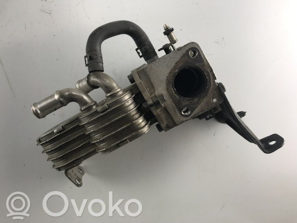 Audi A4 S4 B7 8E 8H EGR vožtuvas 