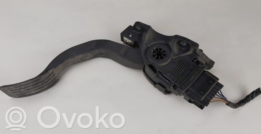 Ford S-MAX Kaasupoljin 