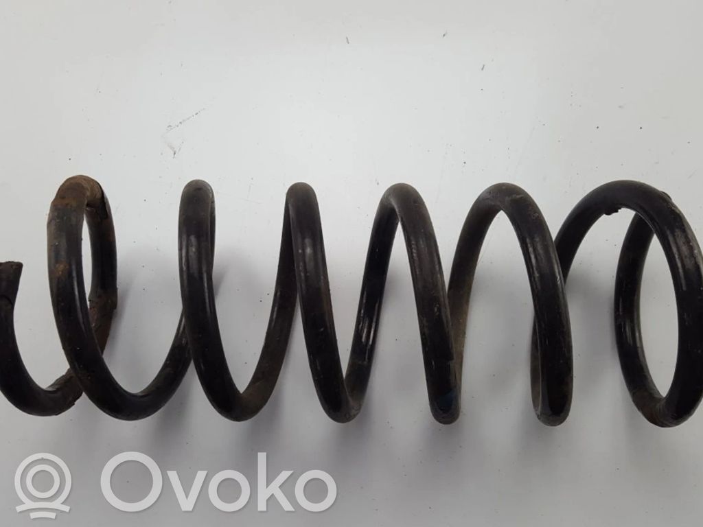 Rear coil spring