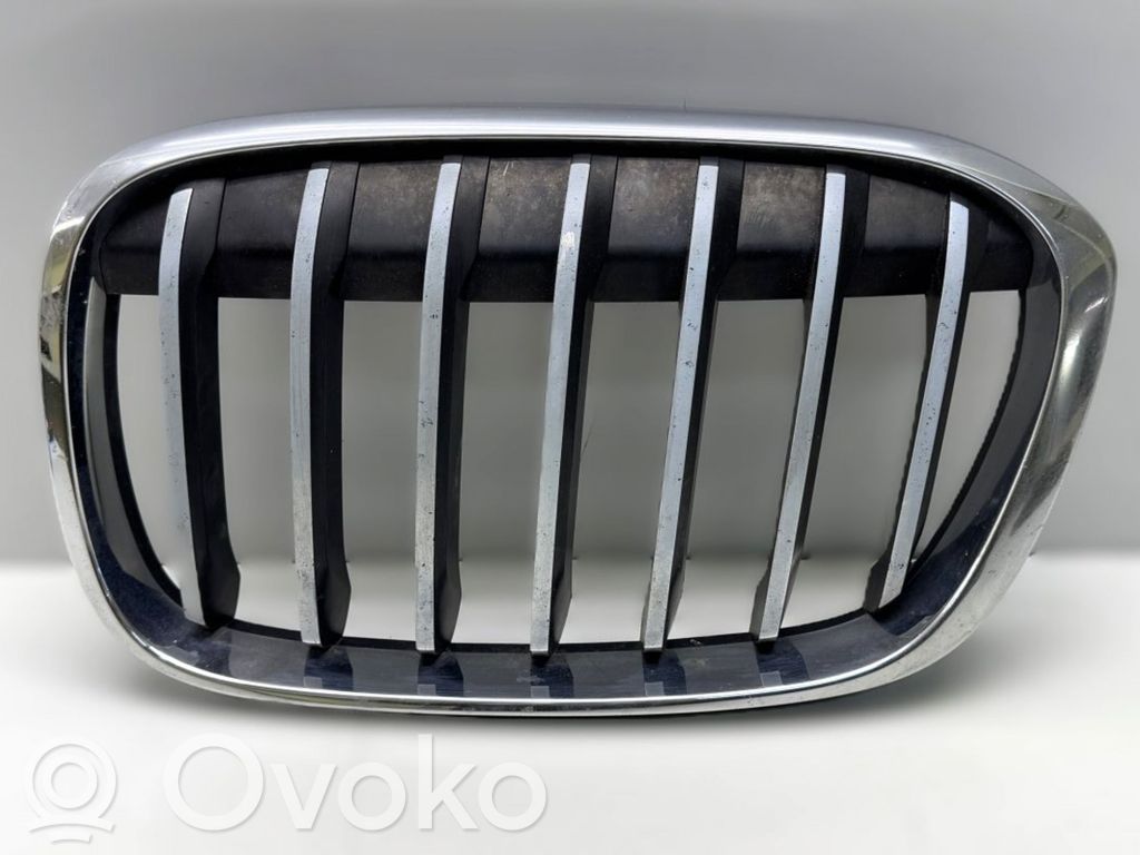BMW X1 F48 F49 Rejilla delantera 
