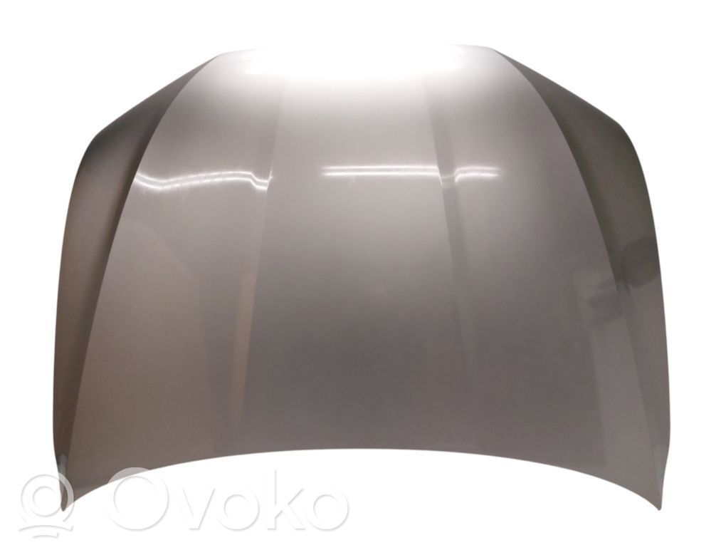 Audi e-tron Engine bonnet/hood 