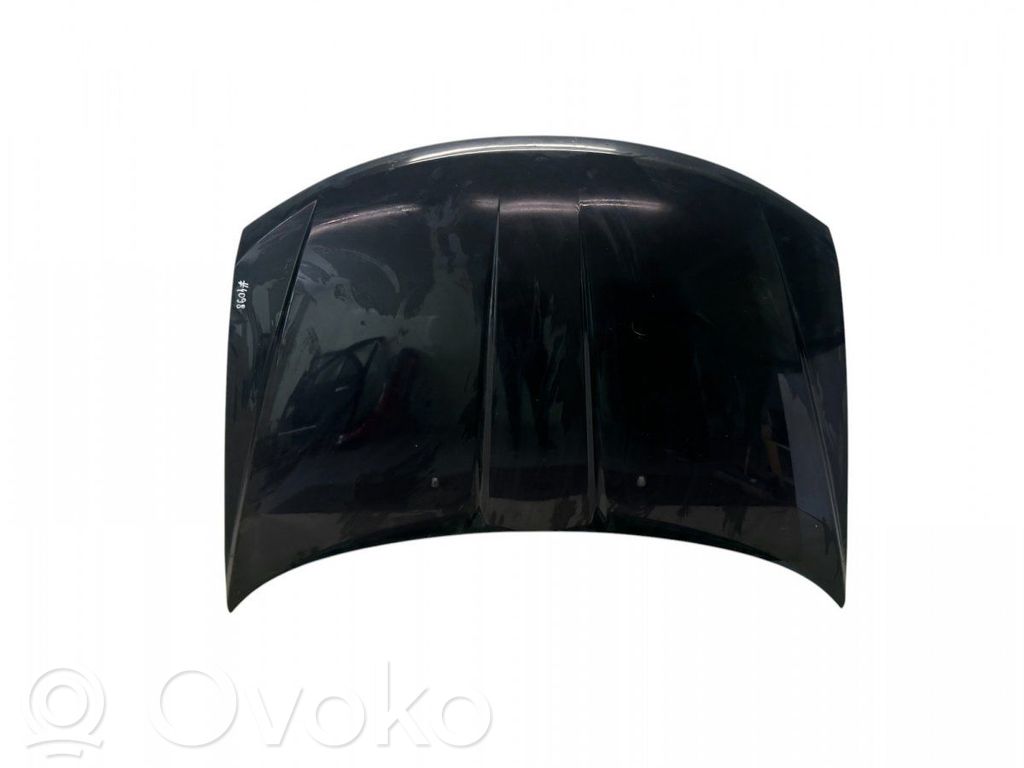 Dodge Journey Dzinēja pārsegs (vāks) 