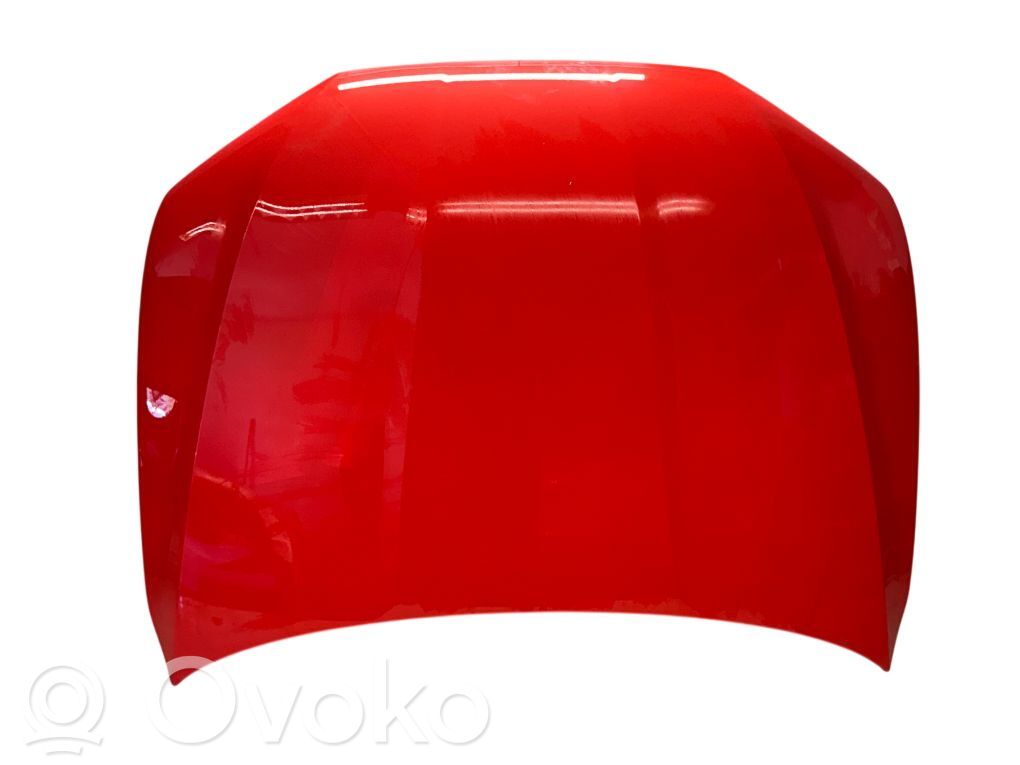 Audi e-tron Engine bonnet/hood 