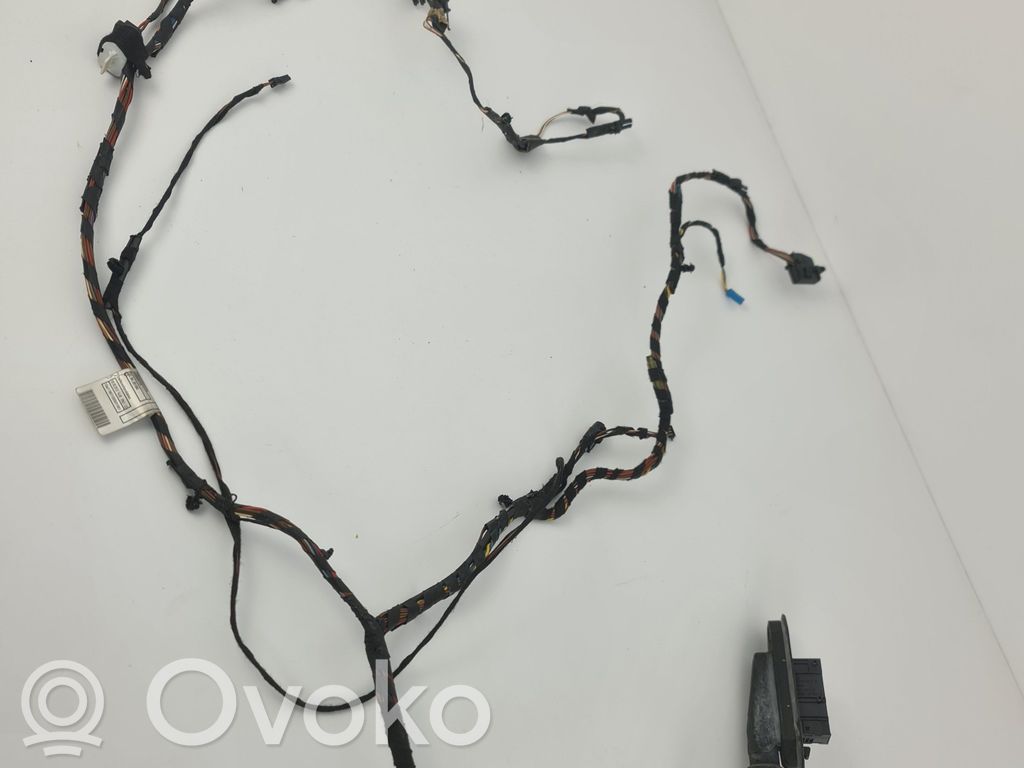 BMW X6 E71 Cableado de puerta delantera 