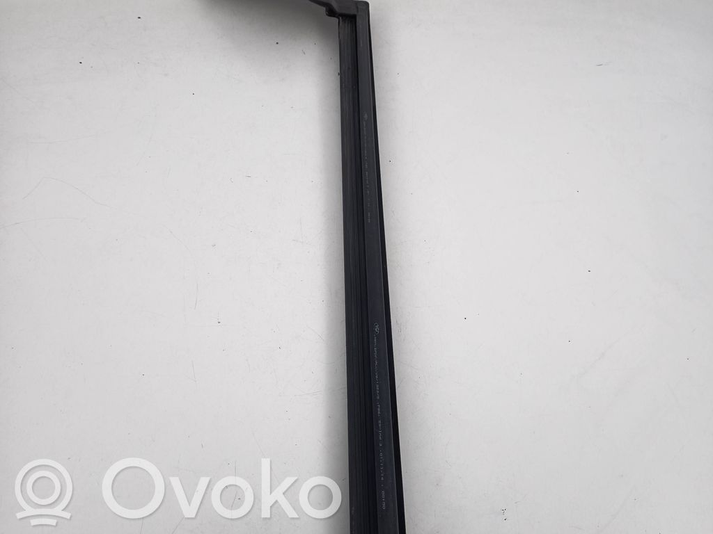 BMW 6 F06 Gran coupe Guma sandarinimo priekinių durų (prie stiklo) 
