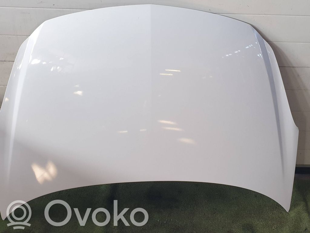 Engine bonnet/hood