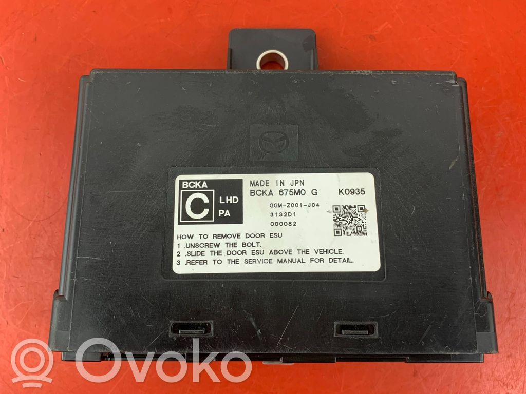 Engine control unit/module ECU   BCKA675M0G