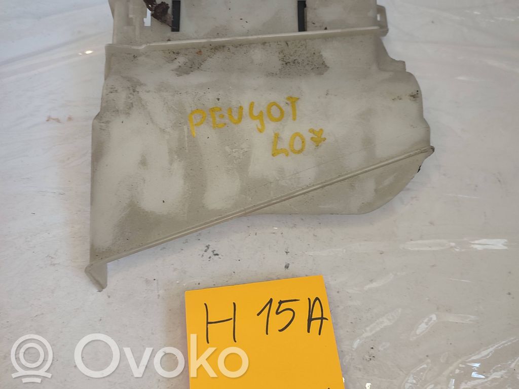 Peugeot 407 Fuse 