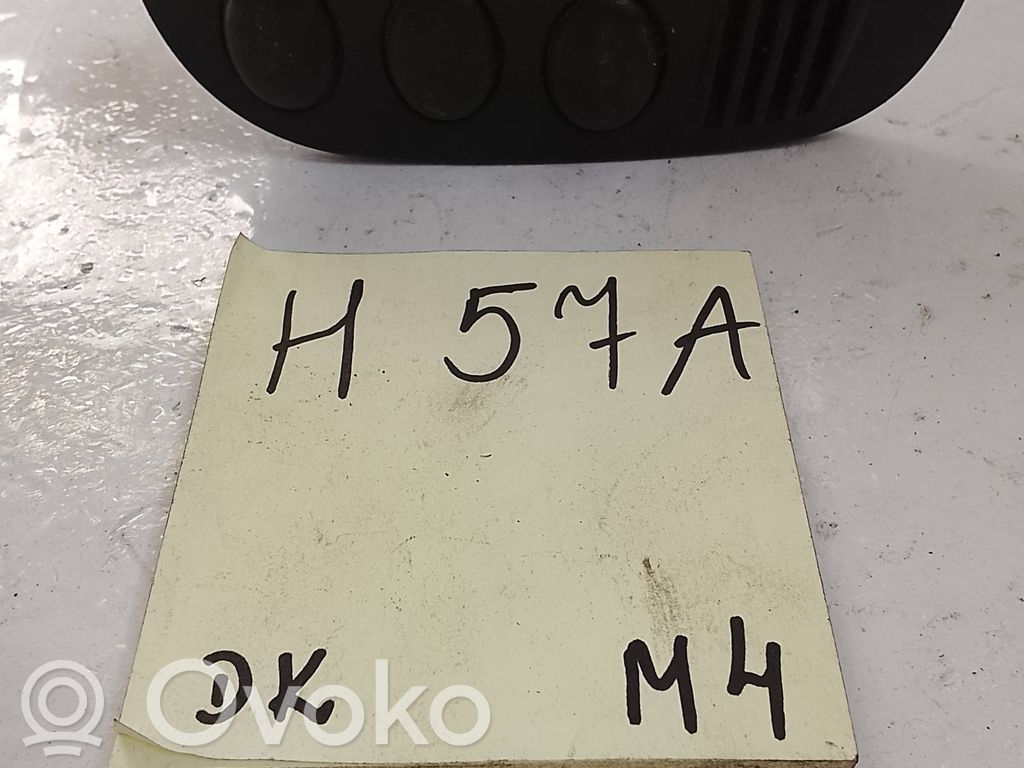Citroen C3 Kita salono detalė 