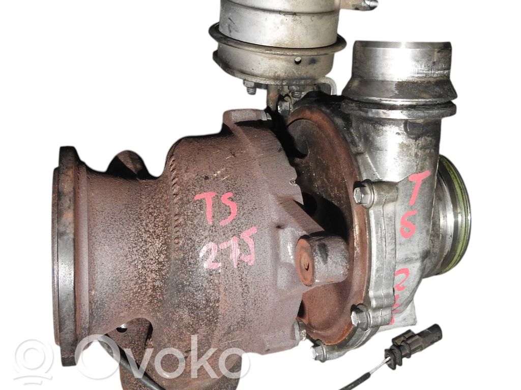 Turbo   31493379
