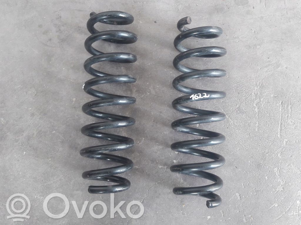 Rear coil spring   RH6752