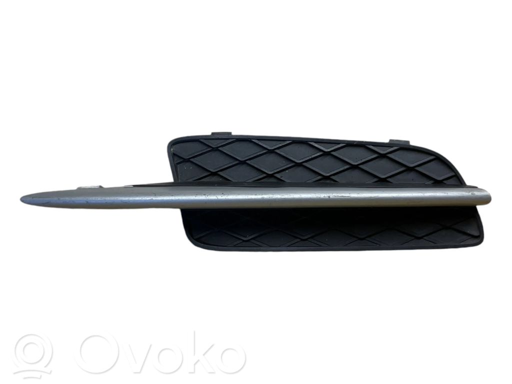 BMW X5 E70 Front bumper lower grill 