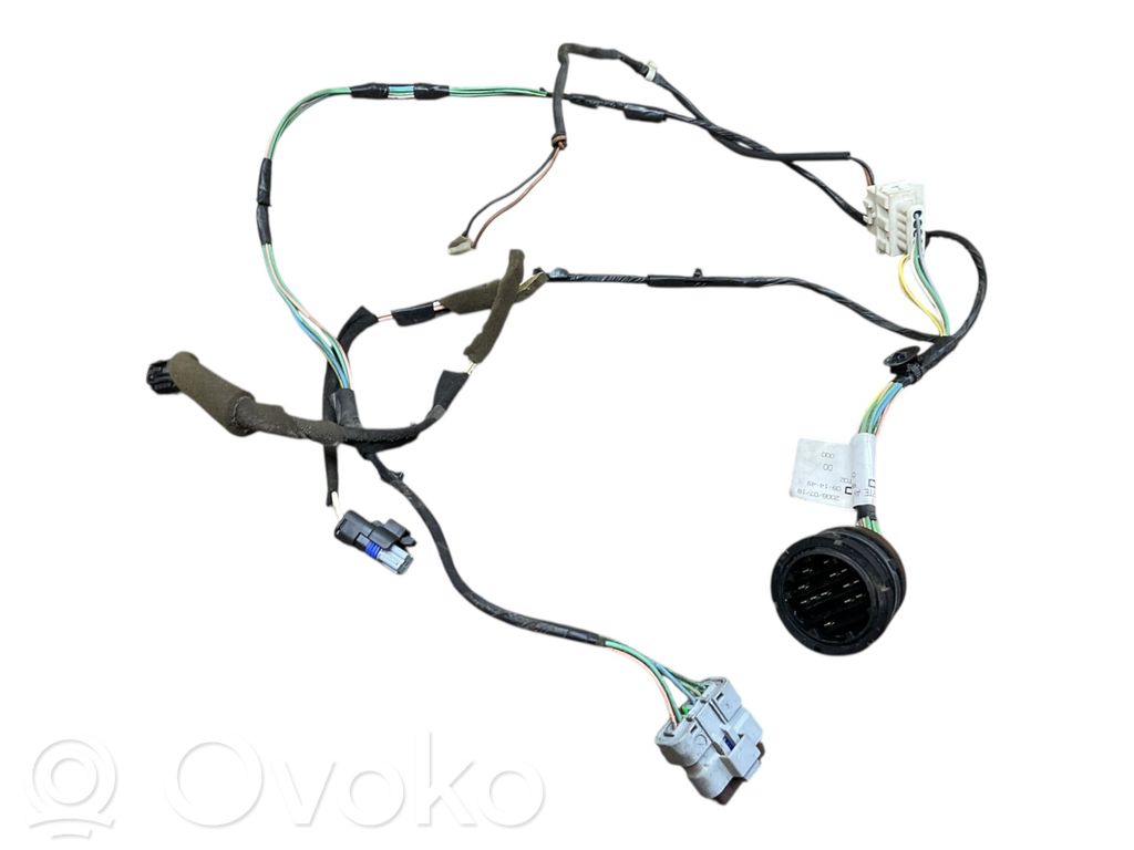 Citroen Berlingo Cableado de puerta delantera 