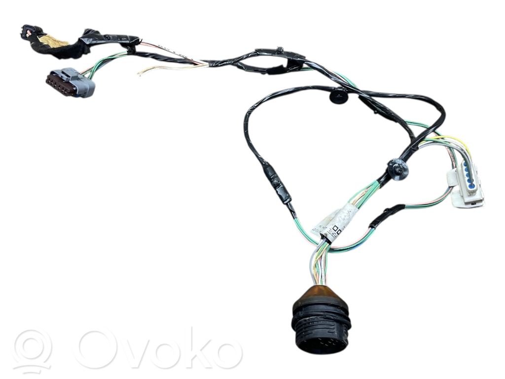 Citroen Berlingo Cableado de puerta delantera 