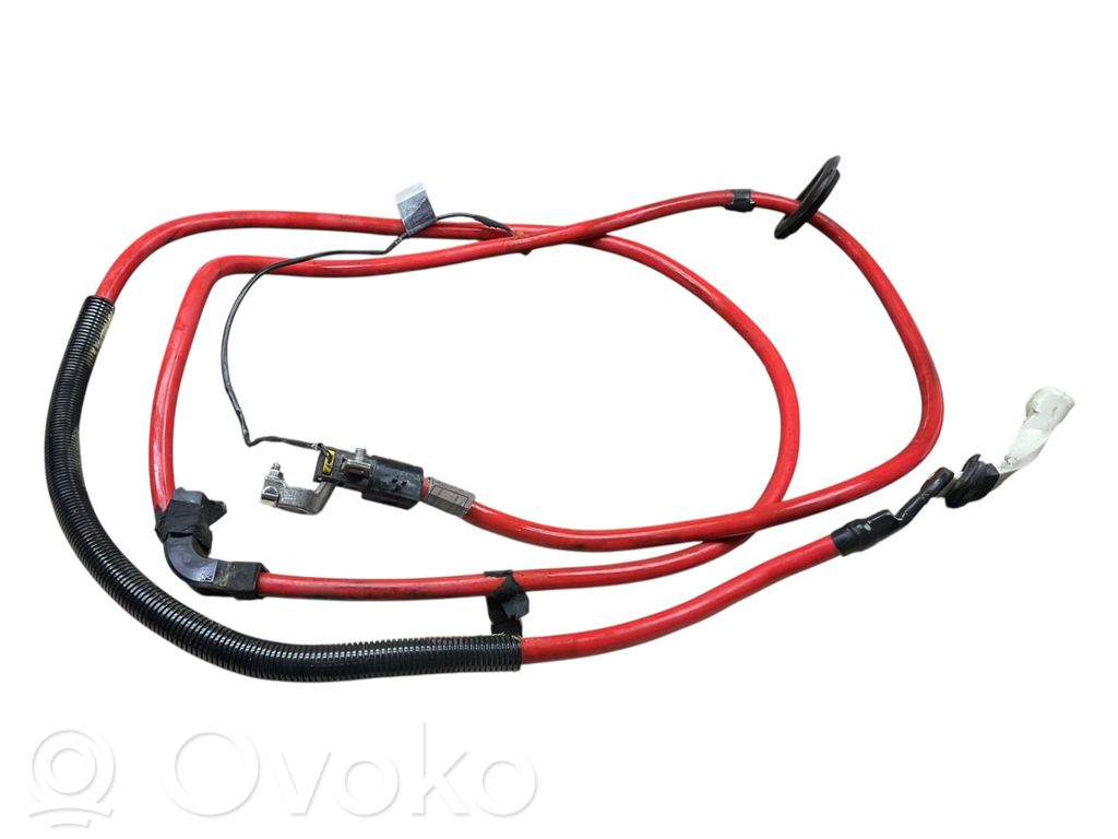 BMW 5 E60 E61 Pliusinis laidas (akumuliatoriaus) 