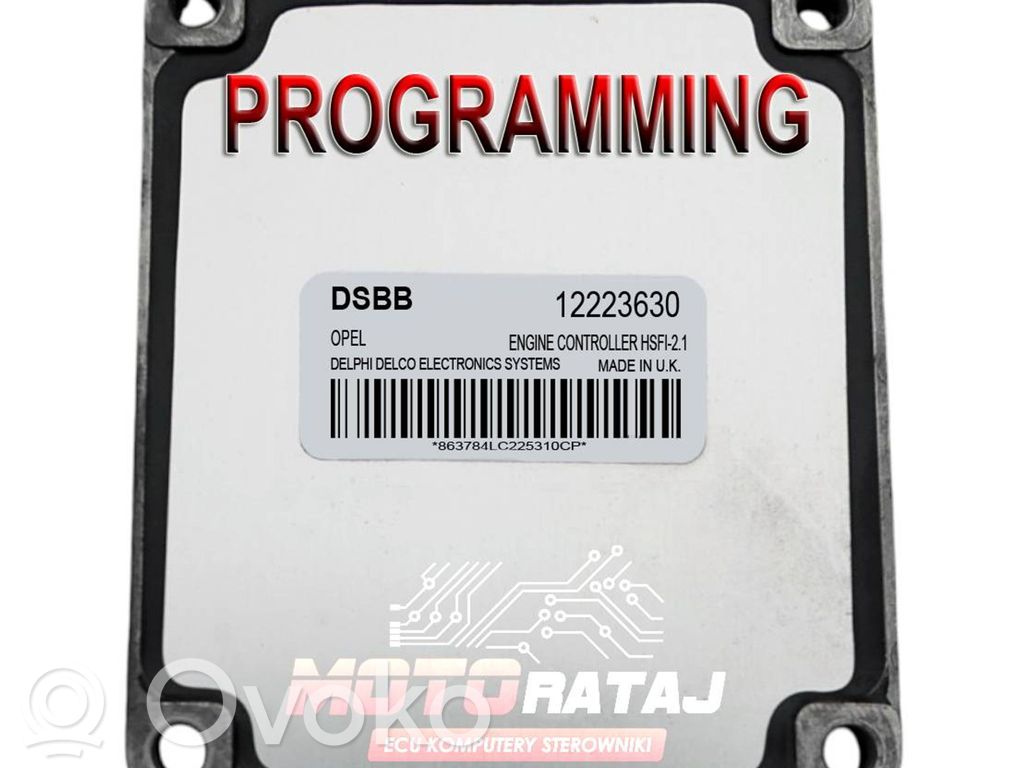 Engine control unit/module   12223630,DSBB
