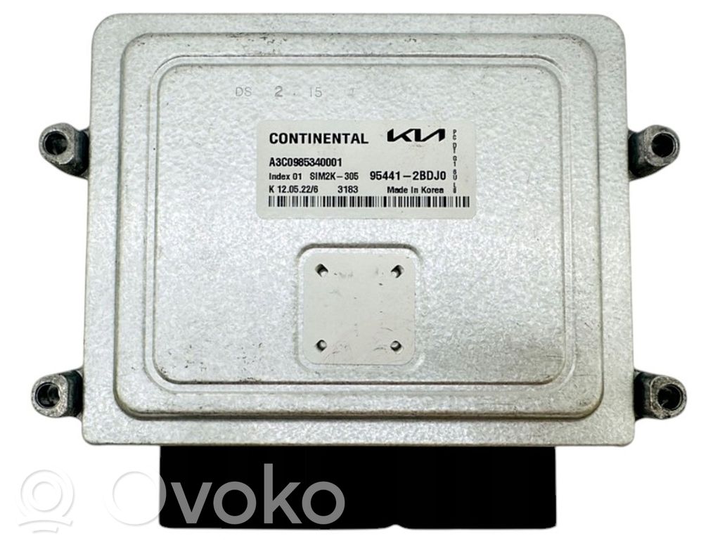 Engine control unit/module   2BDJ0,A3C0985340001