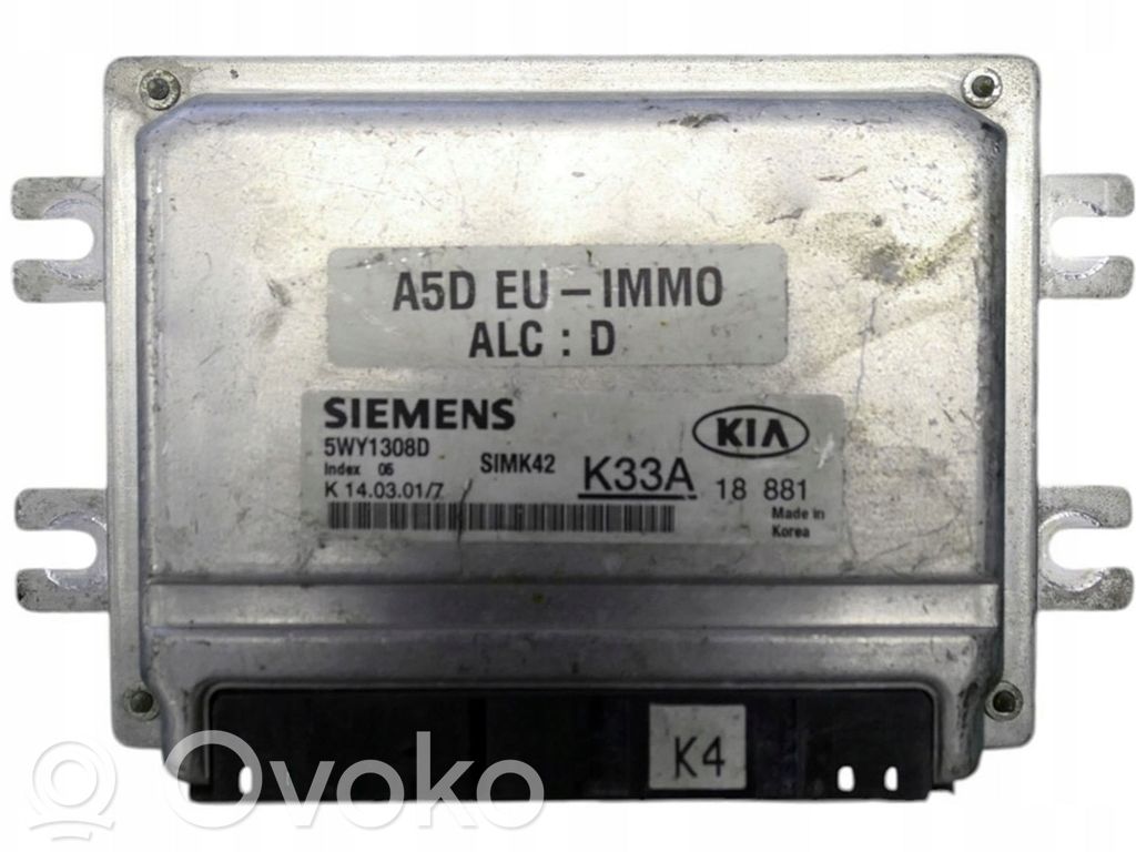 KIA Rio Engine control unit/module 