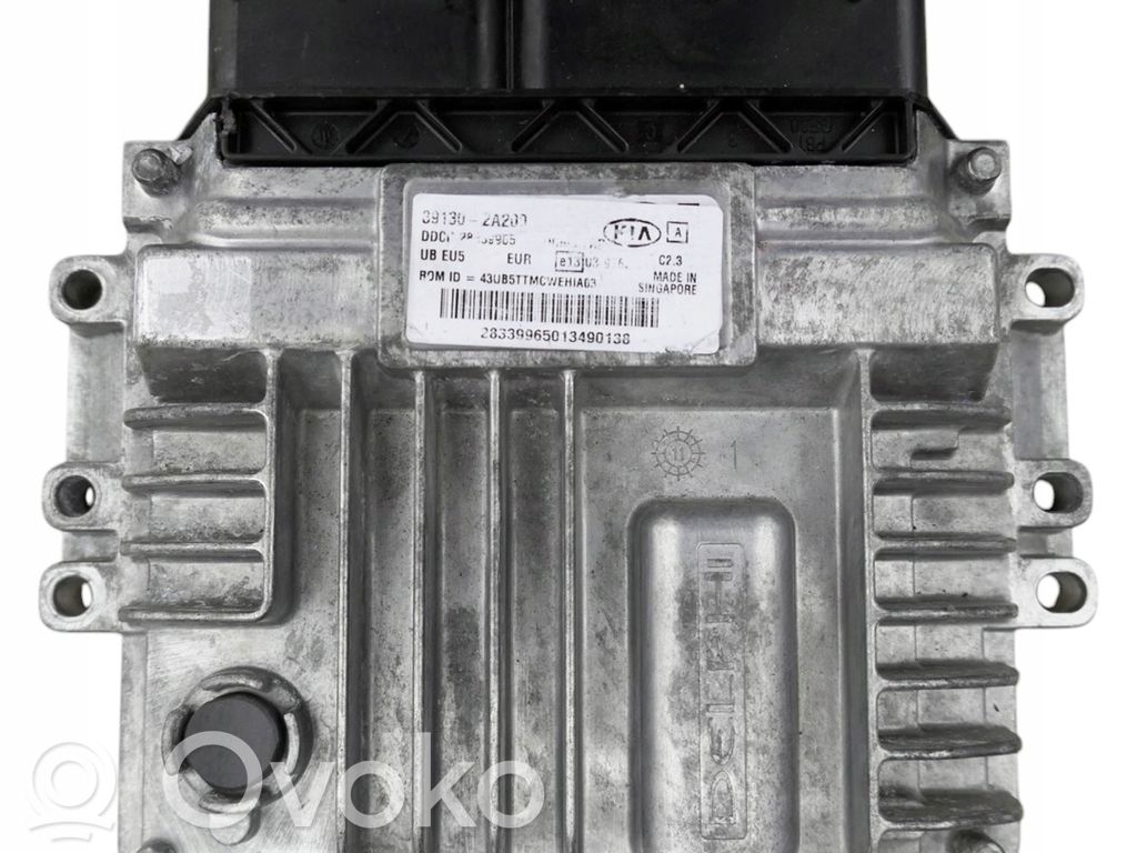 Engine control unit/module   391302A200,28339965
