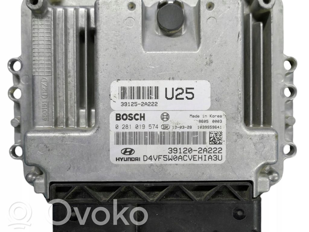 Engine control unit/module   0281019574,391202A222