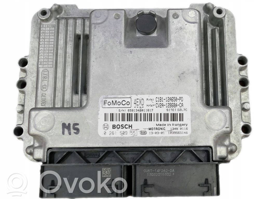 Ford Focus Engine control unit/module 
