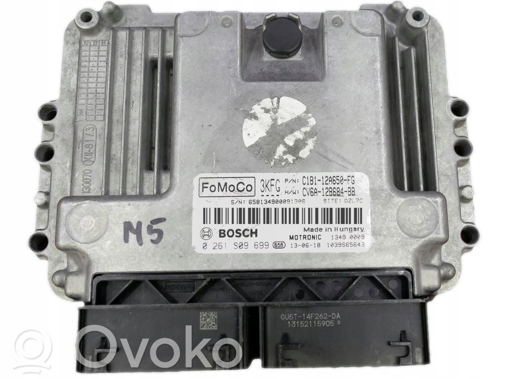 Motorsteuergerät/-modul   C1B112A650FG,0261S09699