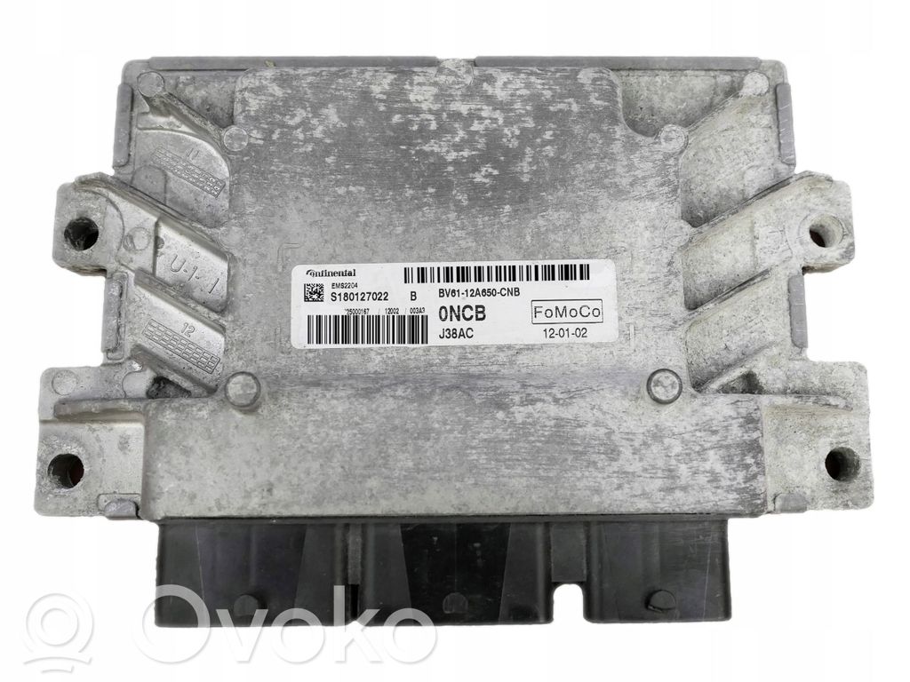 Ford Focus Engine control unit/module 