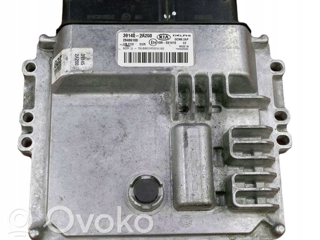 Engine control unit/module   391402A200,28486100