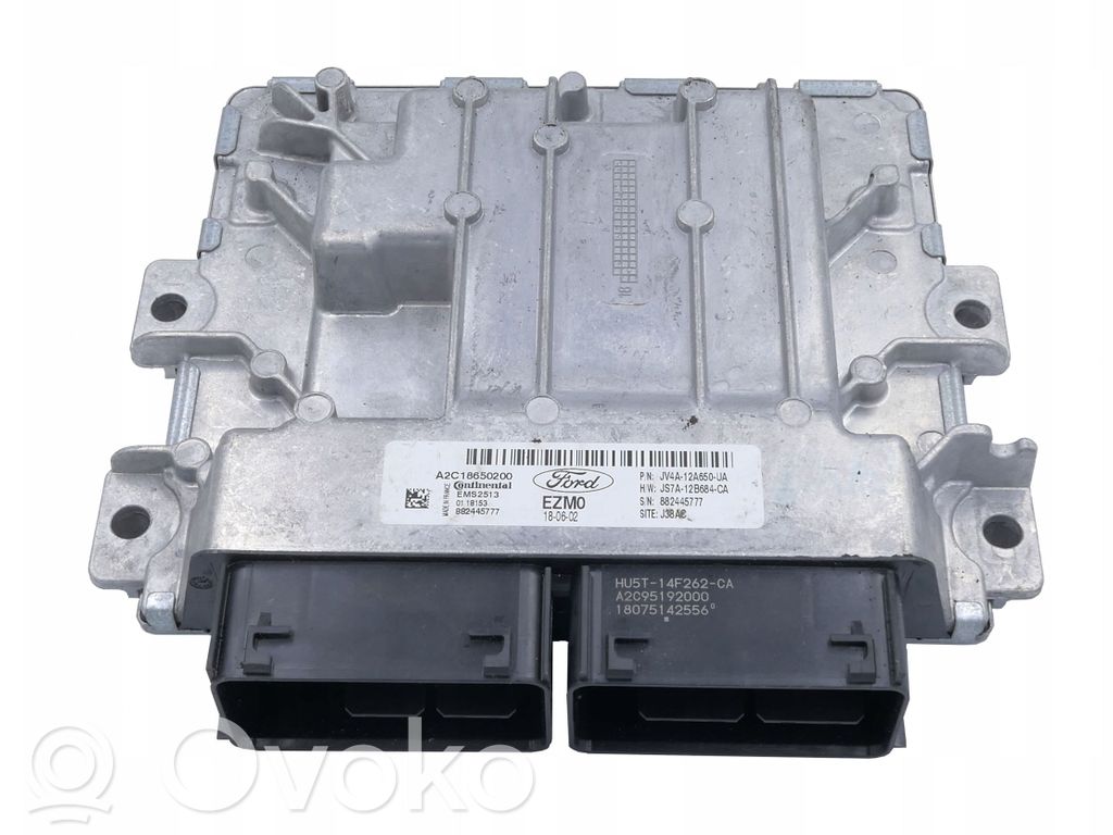 Ford Focus Engine control unit/module 