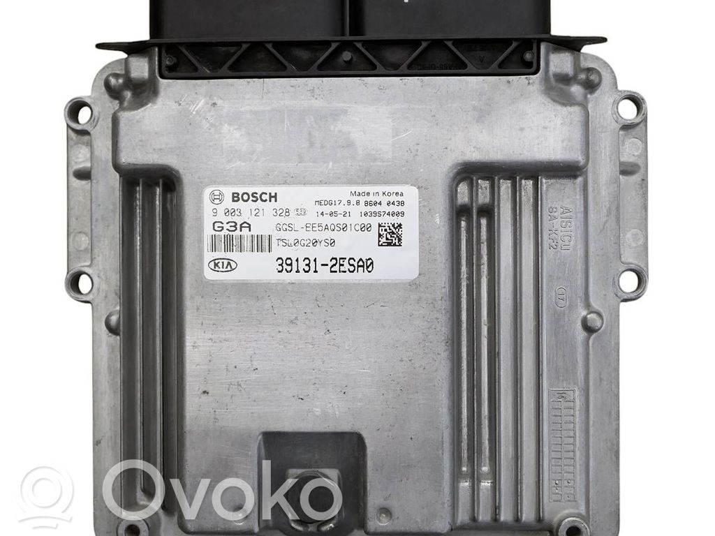 Engine control unit/module   9003121328,391312ESA0,1039S74009