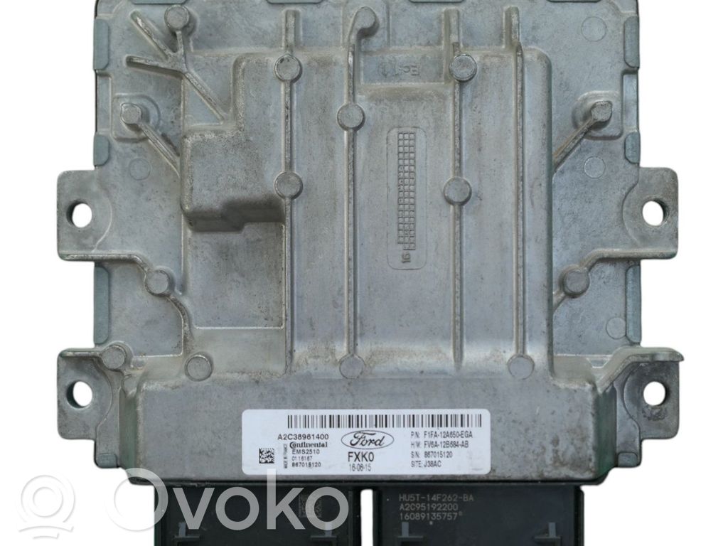 Komputer / Sterownik ECU silnika   F1FA12A650EGA,A2C38961400,FV6A12B684AB