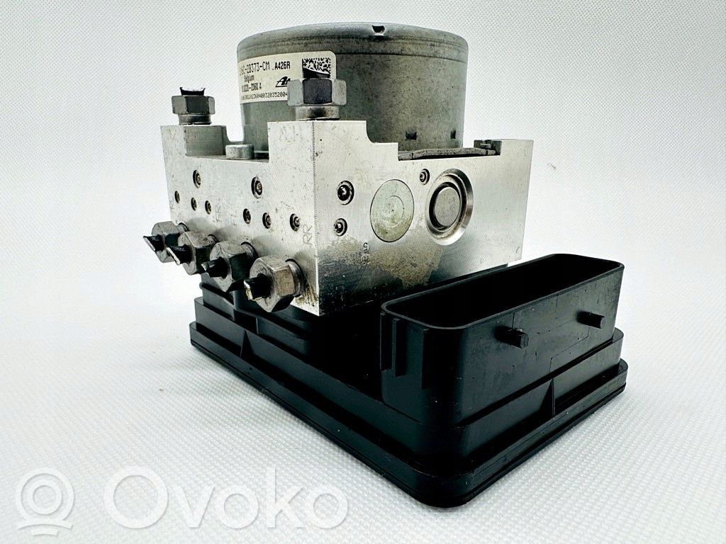 ABS Pump   LX6C2B373CM,LX6C2C219CM
