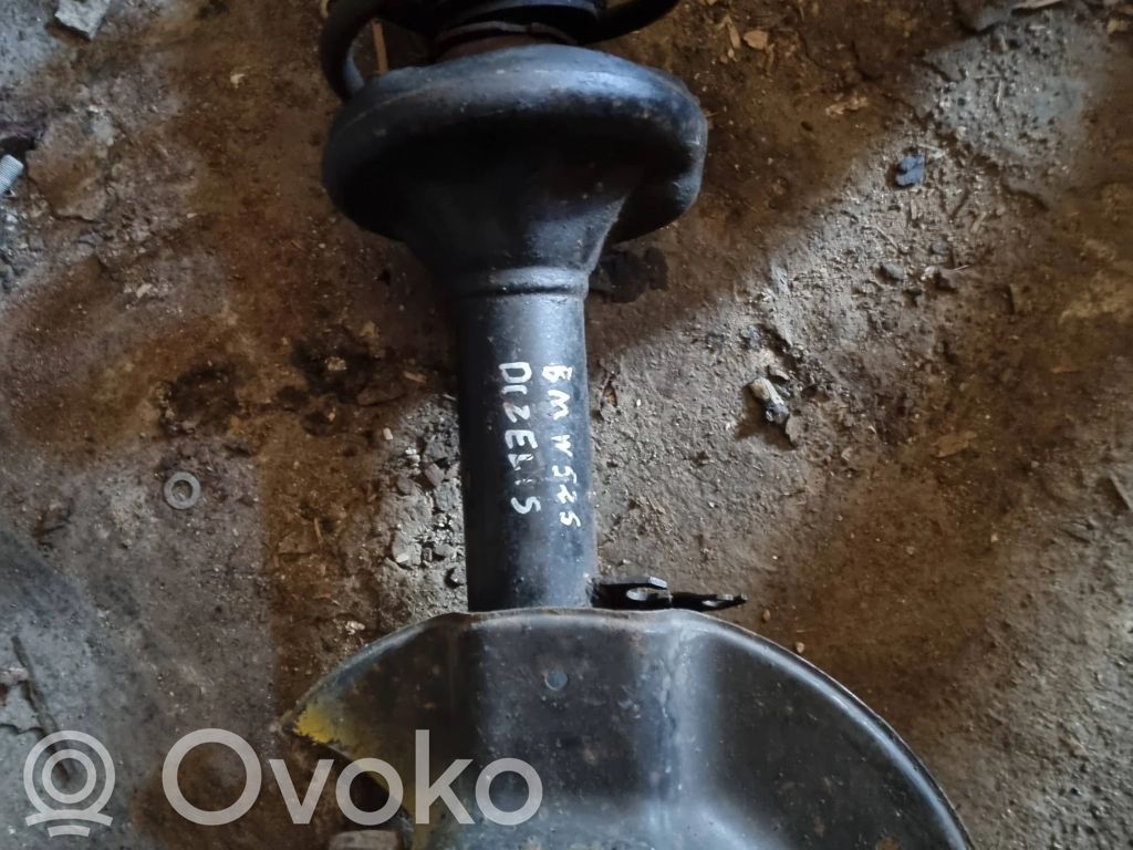 Front shock absorber with coil spring