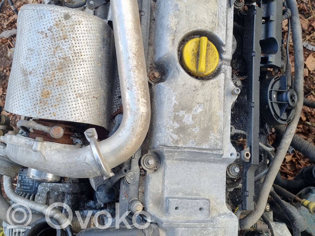 Motor