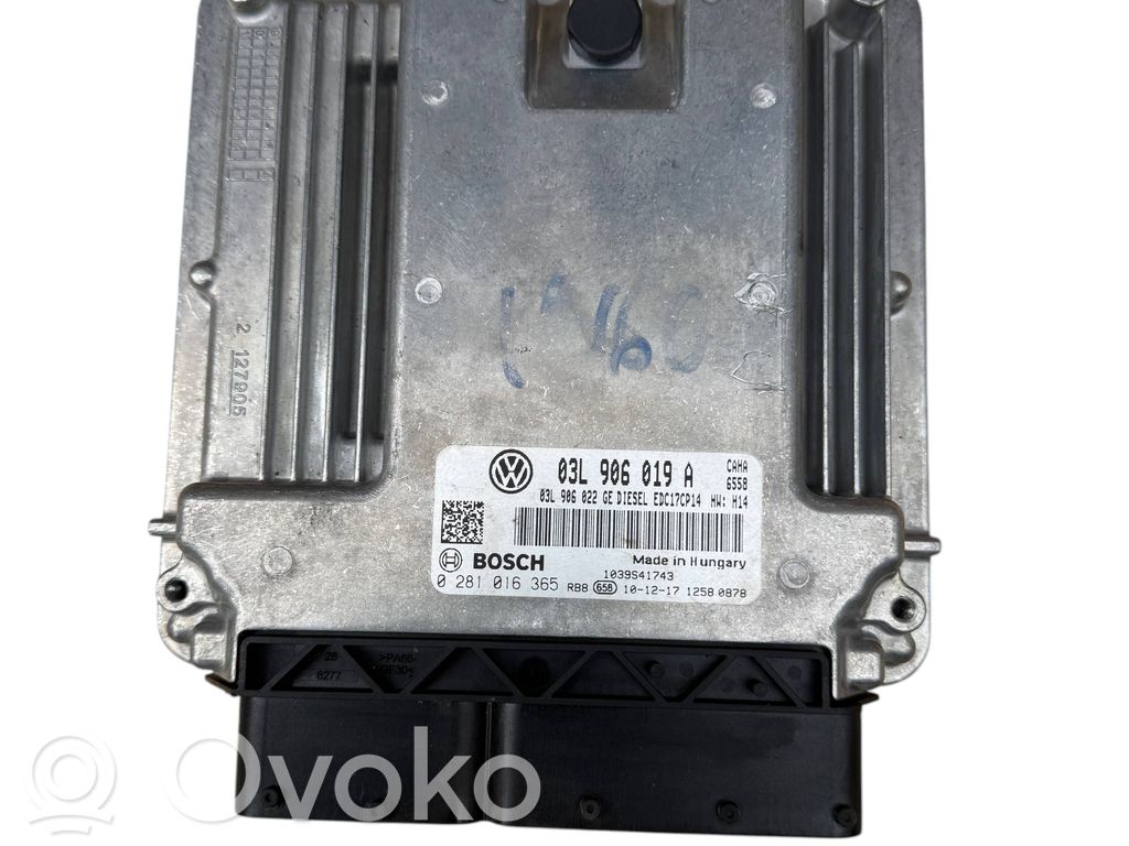 Seat Exeo (3R) Engine control unit/module 