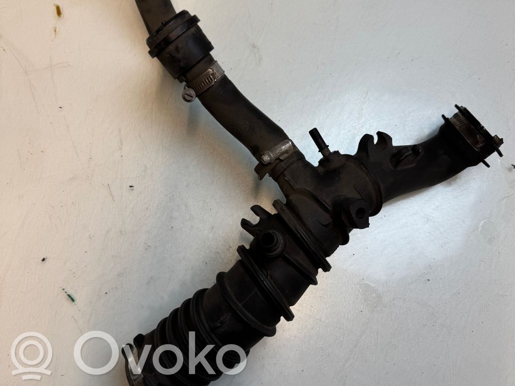 Renault Clio III Interkūlera šļūtene (-es) / caurule (-es) 