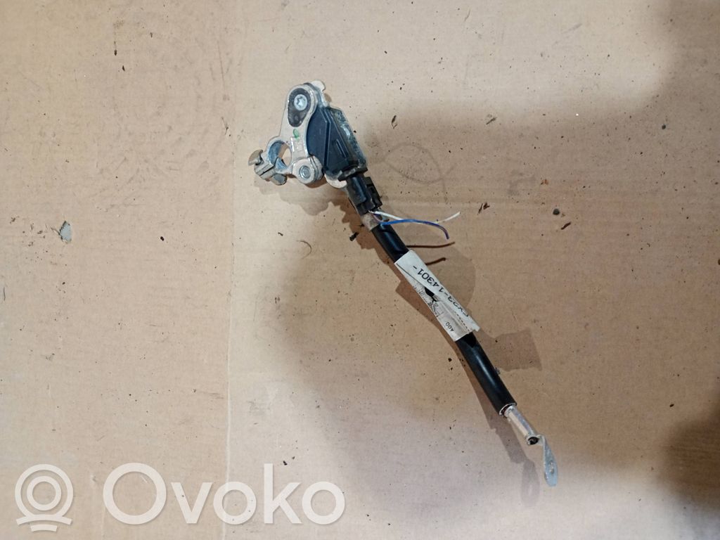 Pluskabel Batterie   EX2314301AA